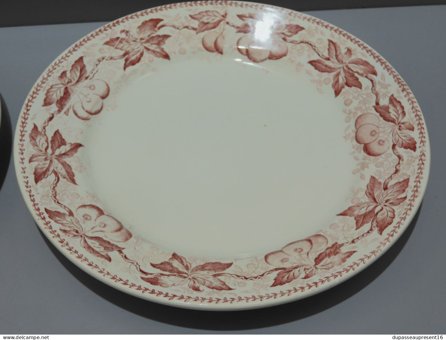 -5 ASSIETTES PLATES DEMI PORCELAINE BADONVILLER modèle CERISES Table  E