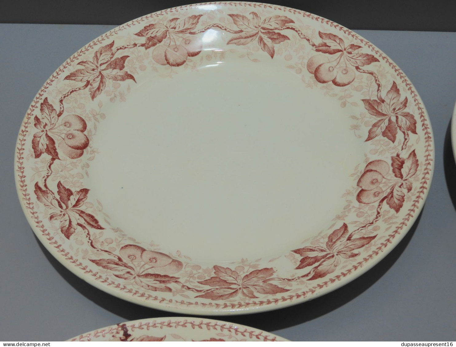 -5 ASSIETTES PLATES DEMI PORCELAINE BADONVILLER modèle CERISES Table  E