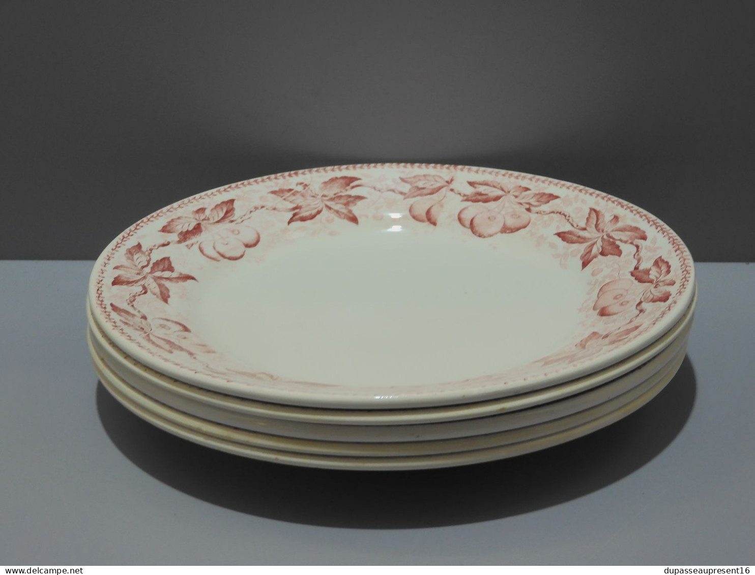 -5 ASSIETTES PLATES DEMI PORCELAINE BADONVILLER modèle CERISES Table  E