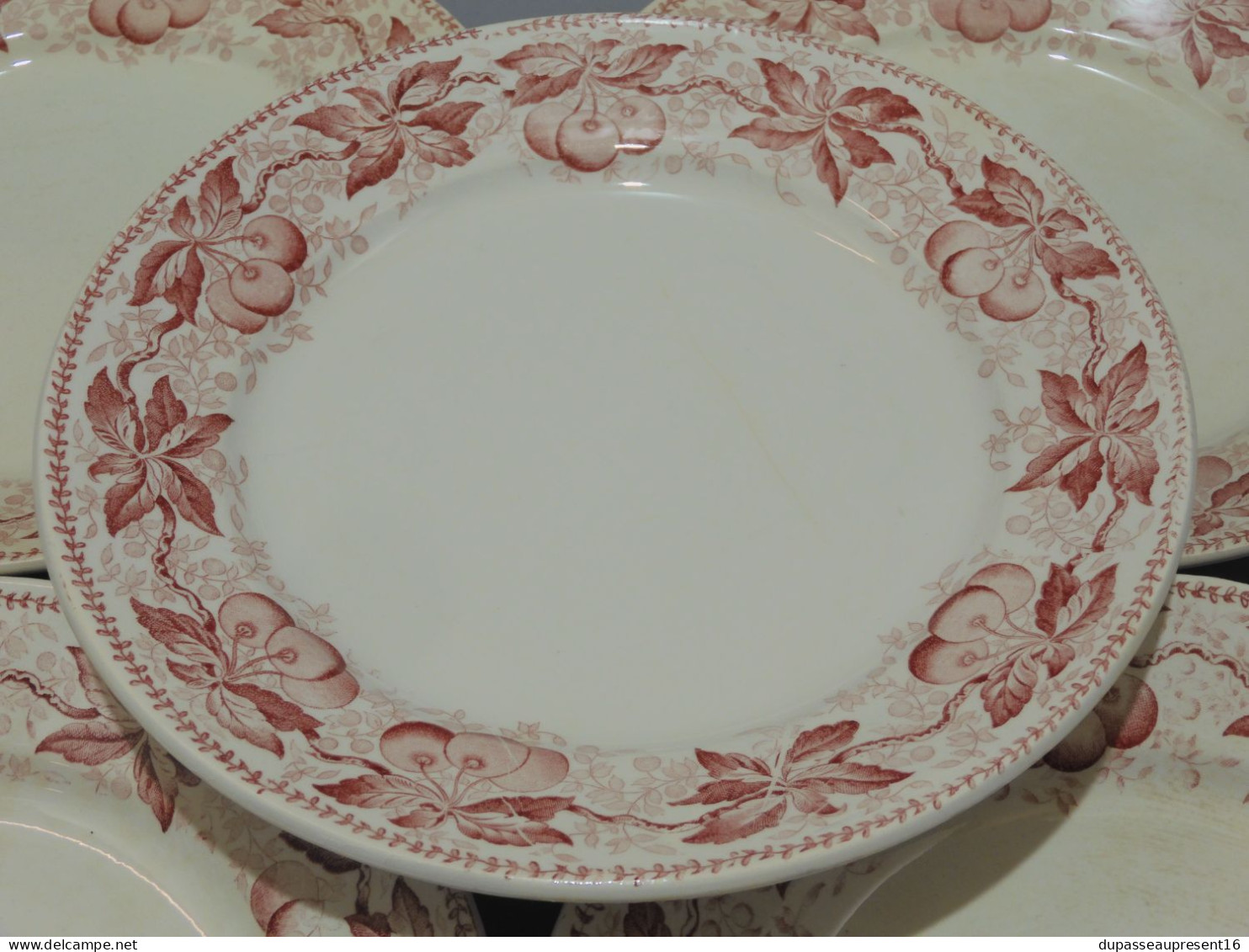 -5 ASSIETTES PLATES DEMI PORCELAINE BADONVILLER Modèle CERISES Table  E - Badonviller (FRA)