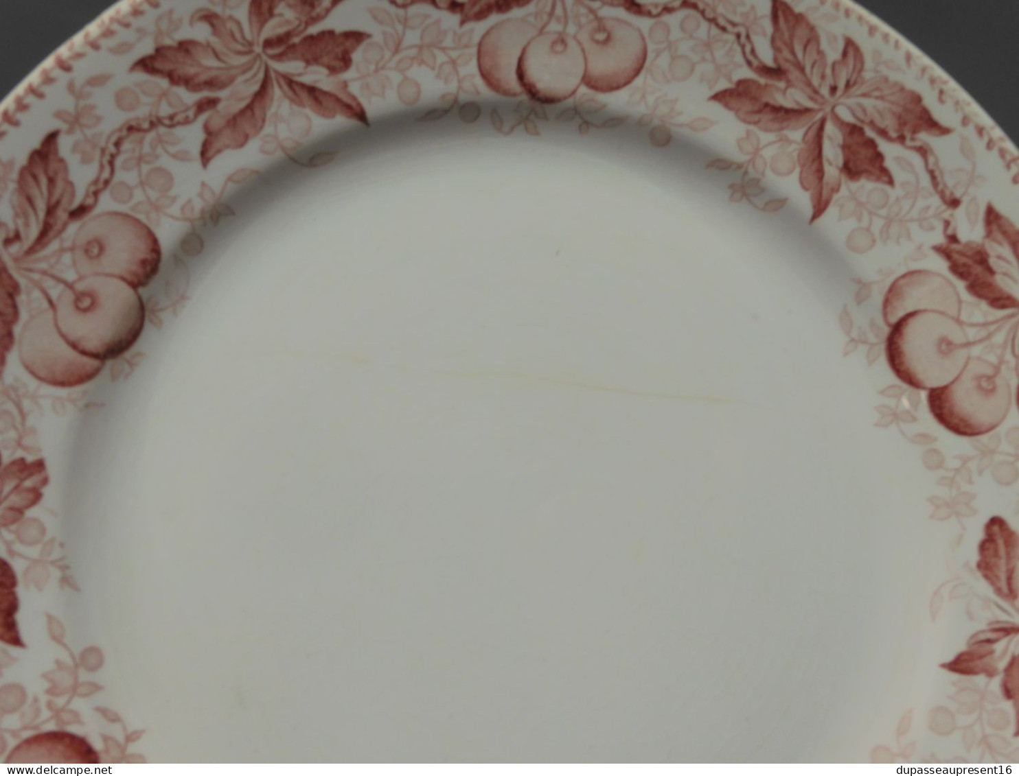 -5 ASSIETTES PLATES DEMI PORCELAINE BADONVILLER Modèle CERISES Table  E - Badonviller (FRA)