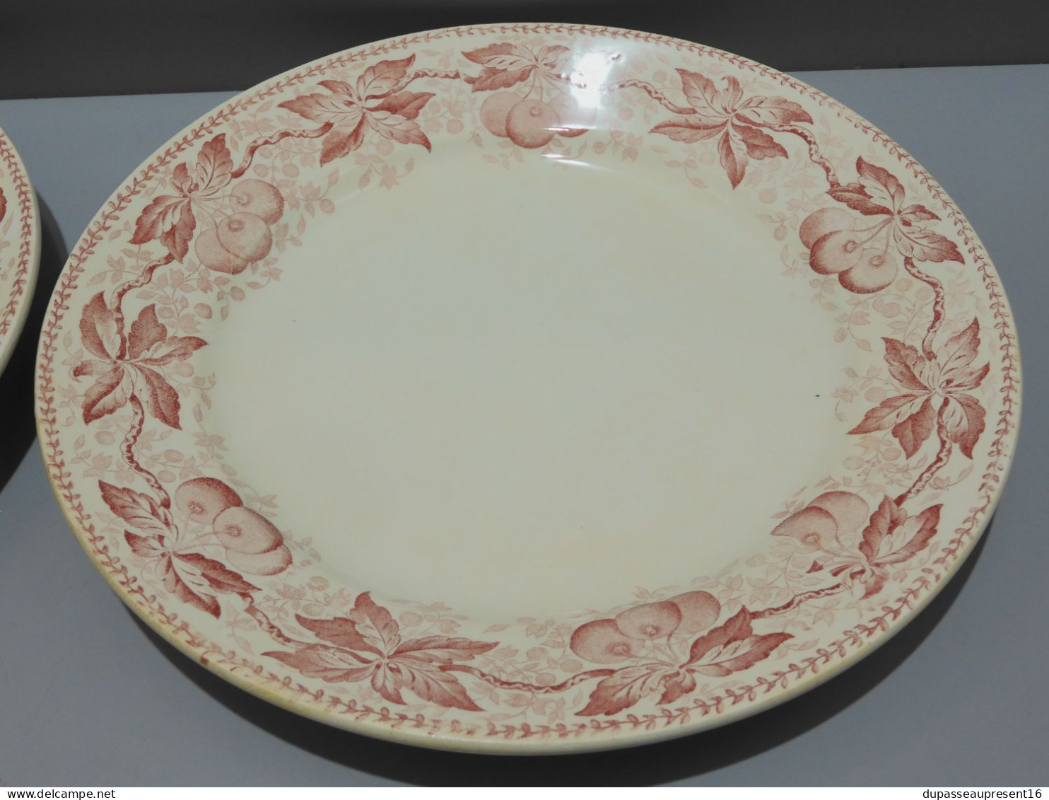 -5 ASSIETTES PLATES DEMI PORCELAINE BADONVILLER modèle CERISES Table  E