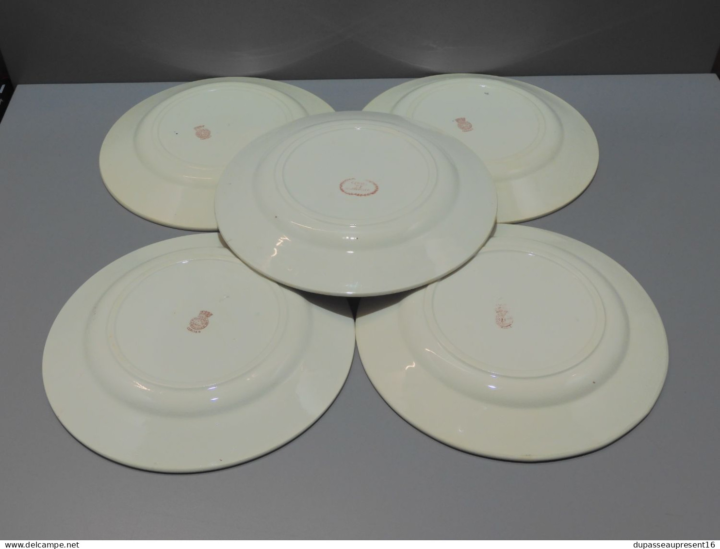 -5 ASSIETTES PLATES DEMI PORCELAINE BADONVILLER modèle CERISES Table  E