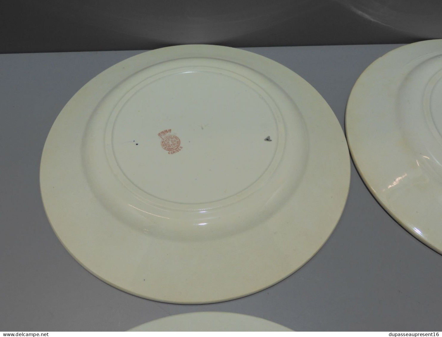 -5 ASSIETTES PLATES DEMI PORCELAINE BADONVILLER modèle CERISES Table  E