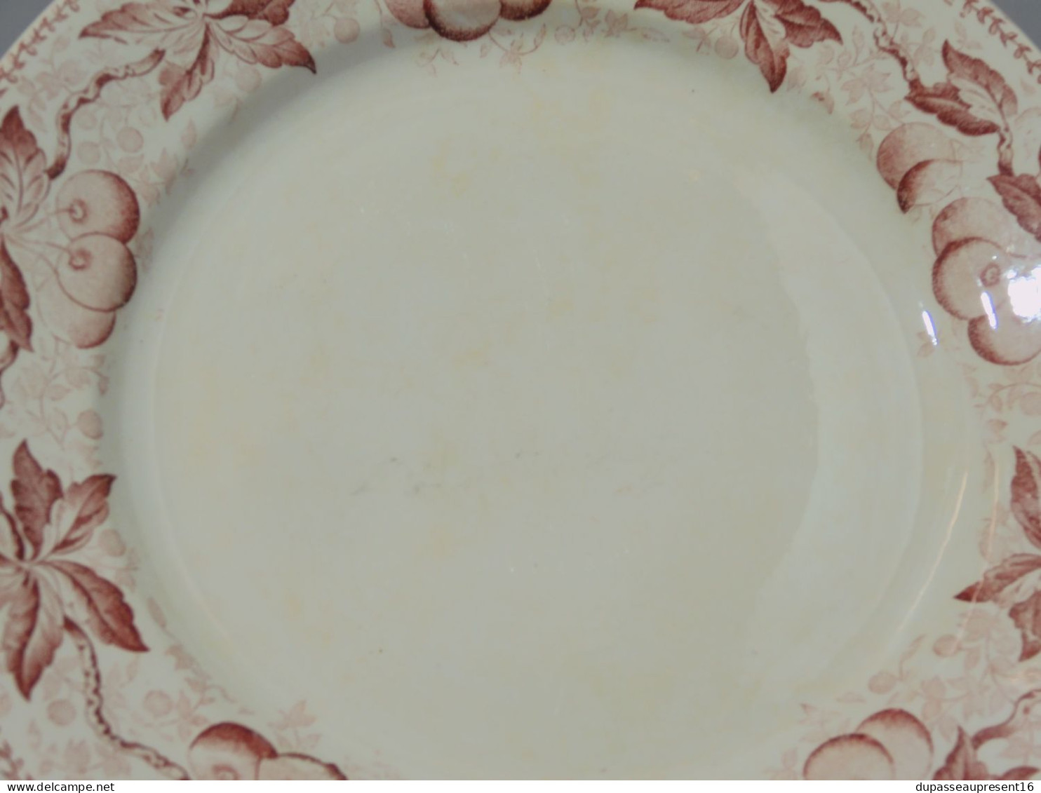 -5 ASSIETTES PLATES DEMI PORCELAINE BADONVILLER modèle CERISES Table  E