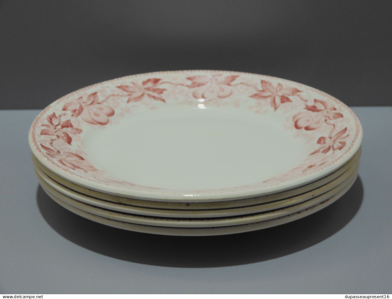 -5 ASSIETTES PLATES DEMI PORCELAINE BADONVILLER modèle CERISES Table  E