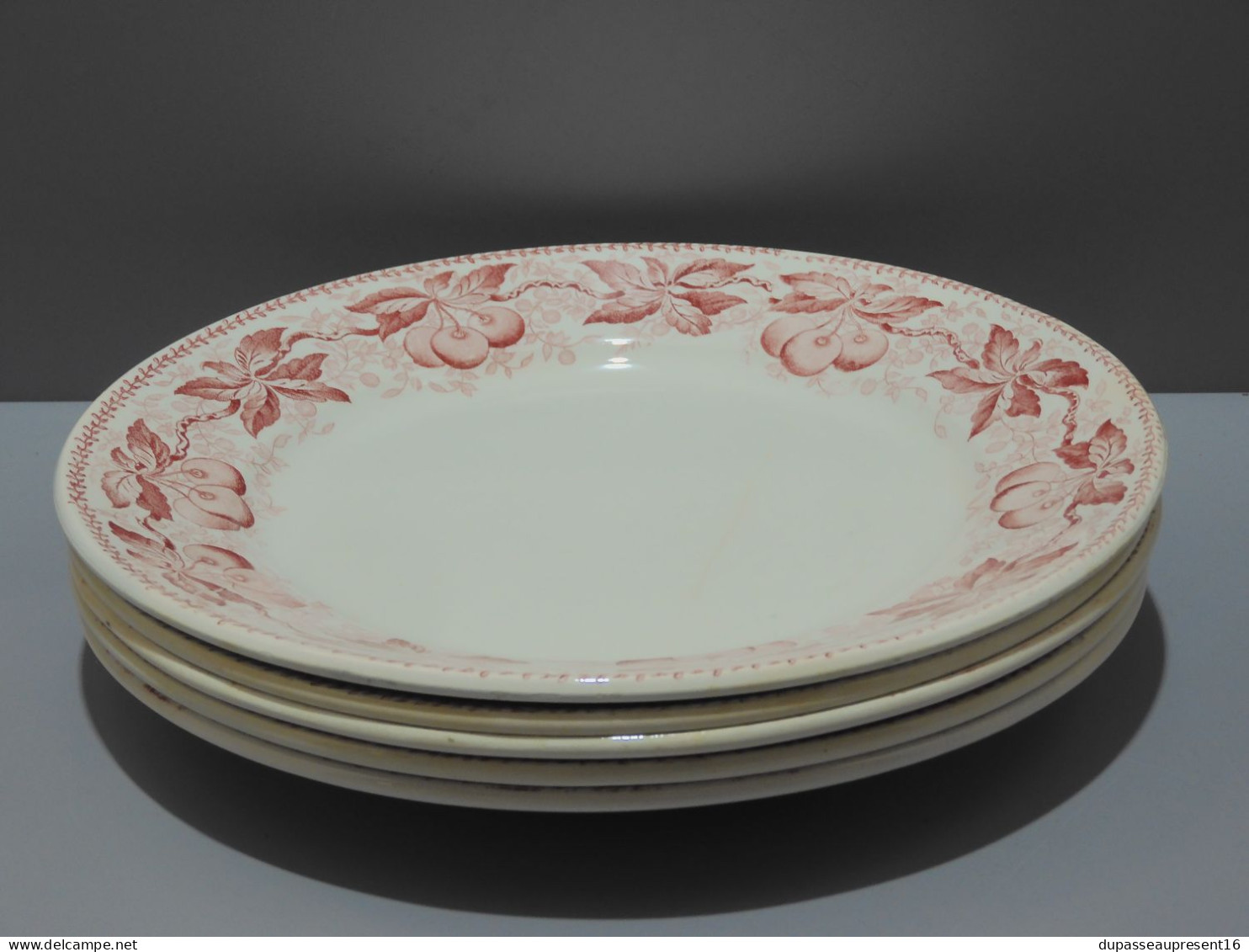 -5 ASSIETTES PLATES DEMI PORCELAINE BADONVILLER modèle CERISES Table  E