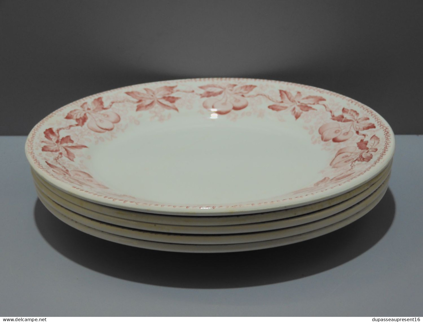 -5 ASSIETTES PLATES DEMI PORCELAINE BADONVILLER modèle CERISES Table  E