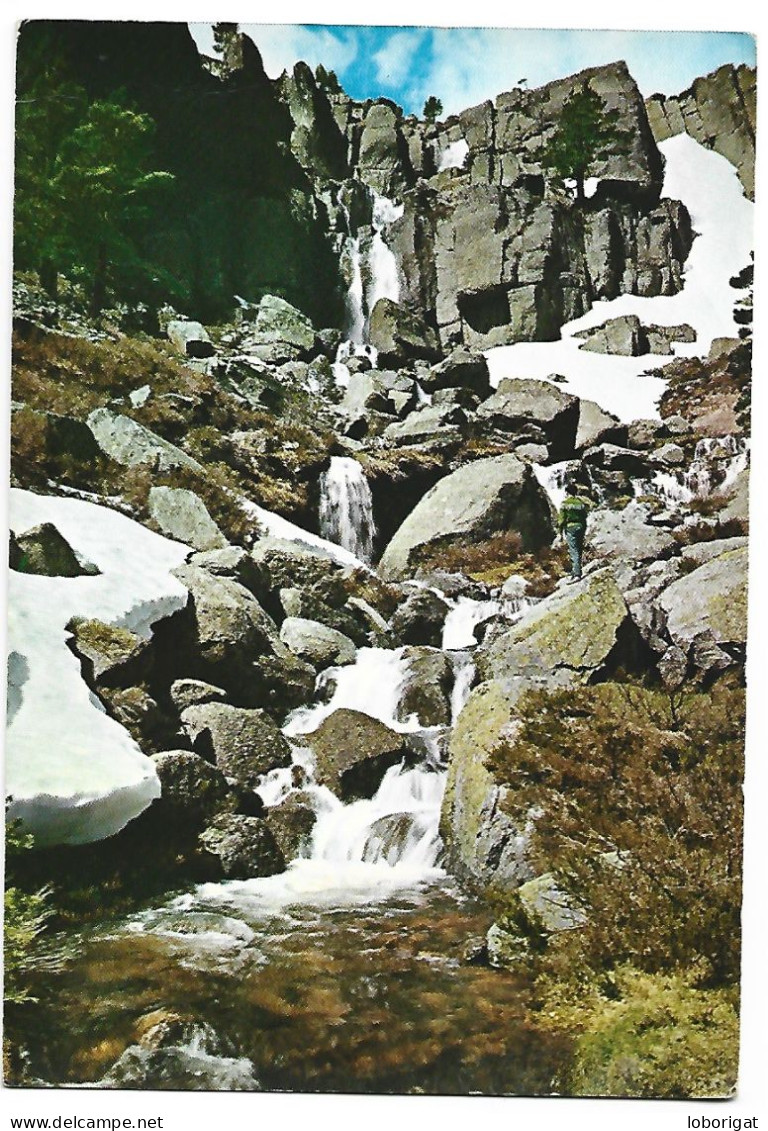 PICOS DE URBION, RIO LAGUNA NEGRA / URBIÓN HILLS, BLACK LAGOON RIVER.- VINUESA - SORIA.- ( ESPAÑA ) - Soria