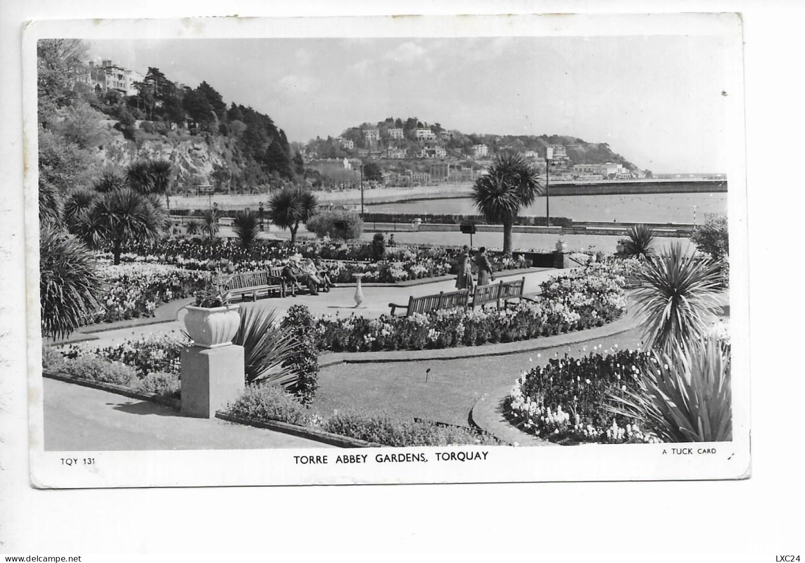 TORQUAY. TORRE ABBEY GARDENS. - Torquay