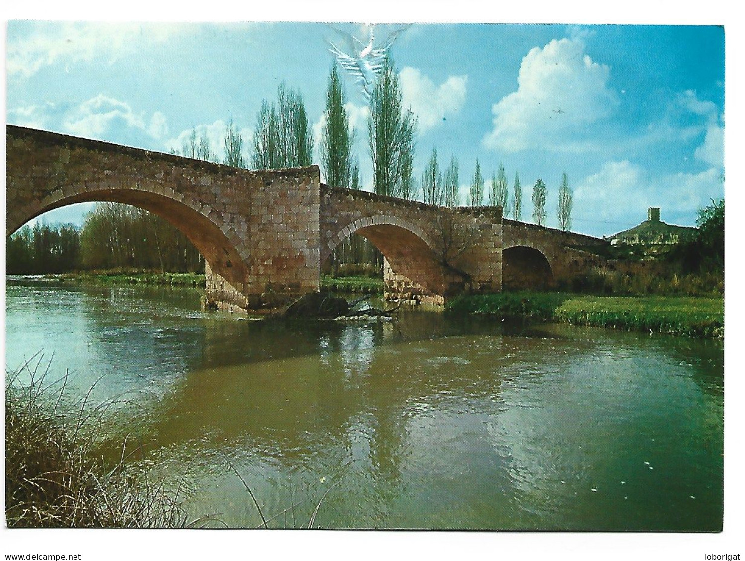 CASTILLO. PUENTE.- LANGA DE DUERO - SORIA.- ( ESPAÑA ) - Soria