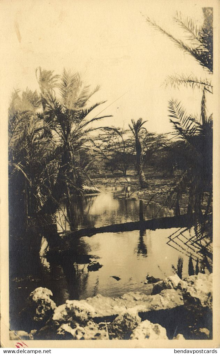 Curacao, D.W.I., River Scene With Palm Trees (1920s) Sunny Isle RPPC Postcard - Curaçao