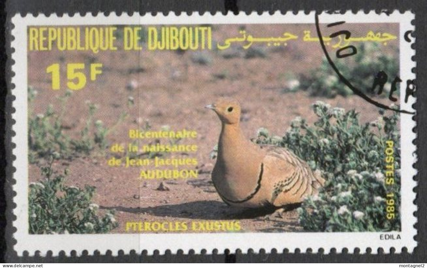 DJIBOUTI N°597 Oblitéré - Gallinacées & Faisans