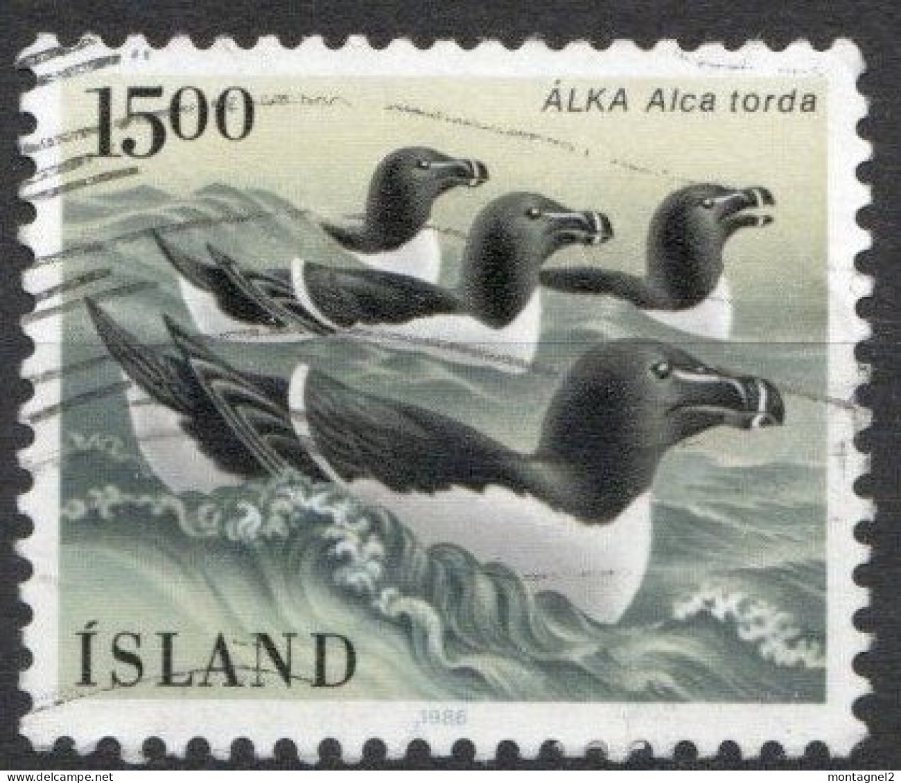 ISLANDE N°600 Oblitéré - Pinguine