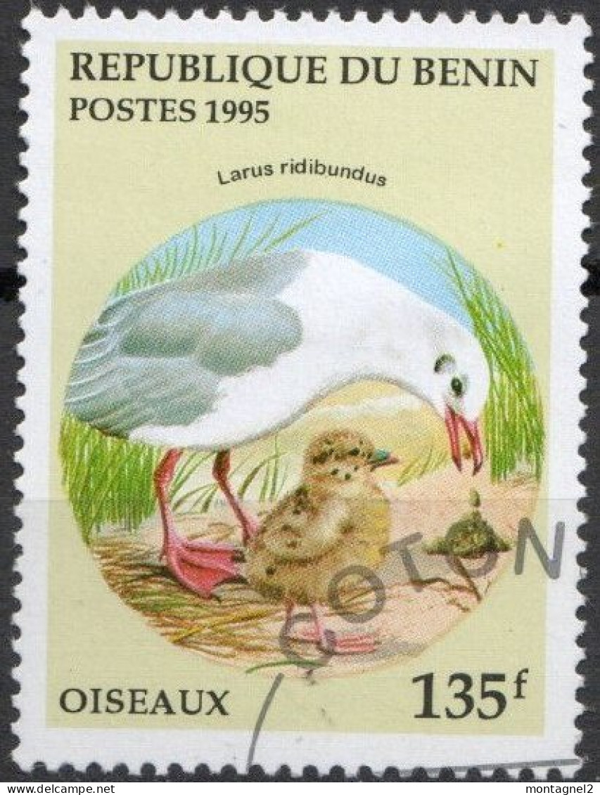 BENIN N°708 AS Oblitéré - Seagulls