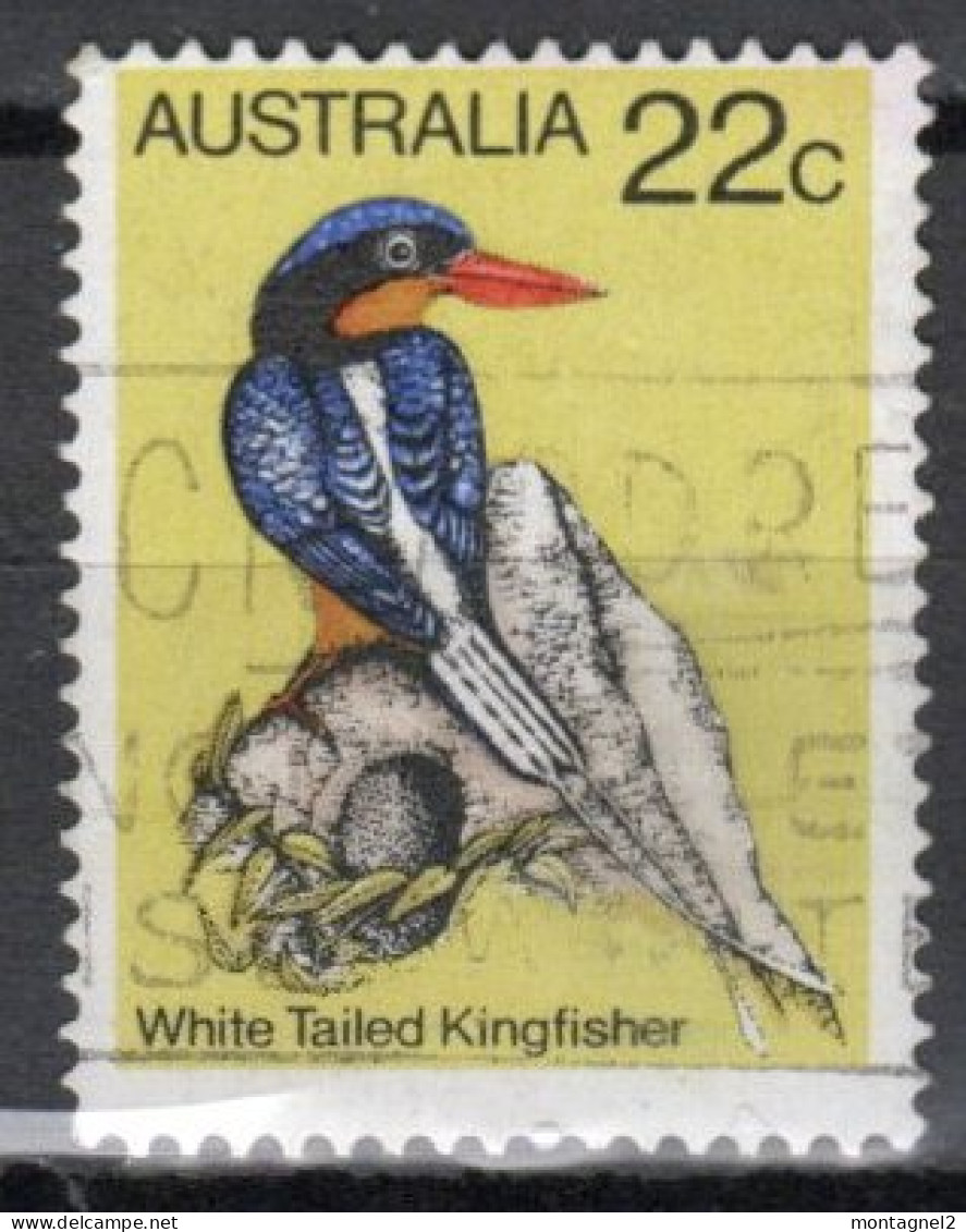 AUSTRALIE N°694 Oblitéré - Spechten En Klimvogels