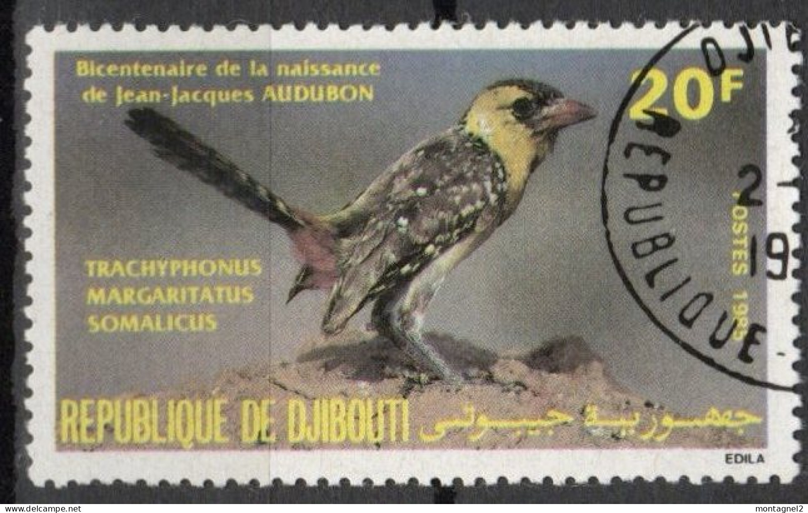 DJIBOUTI N°598 Oblitéré - Piciformes (pájaros Carpinteros)