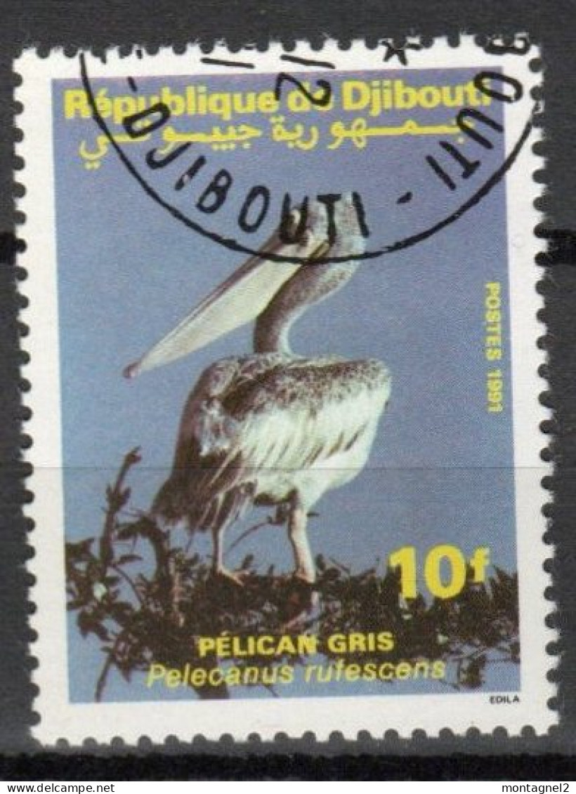 DJIBOUTI N°674 Oblitéré - Pelikanen