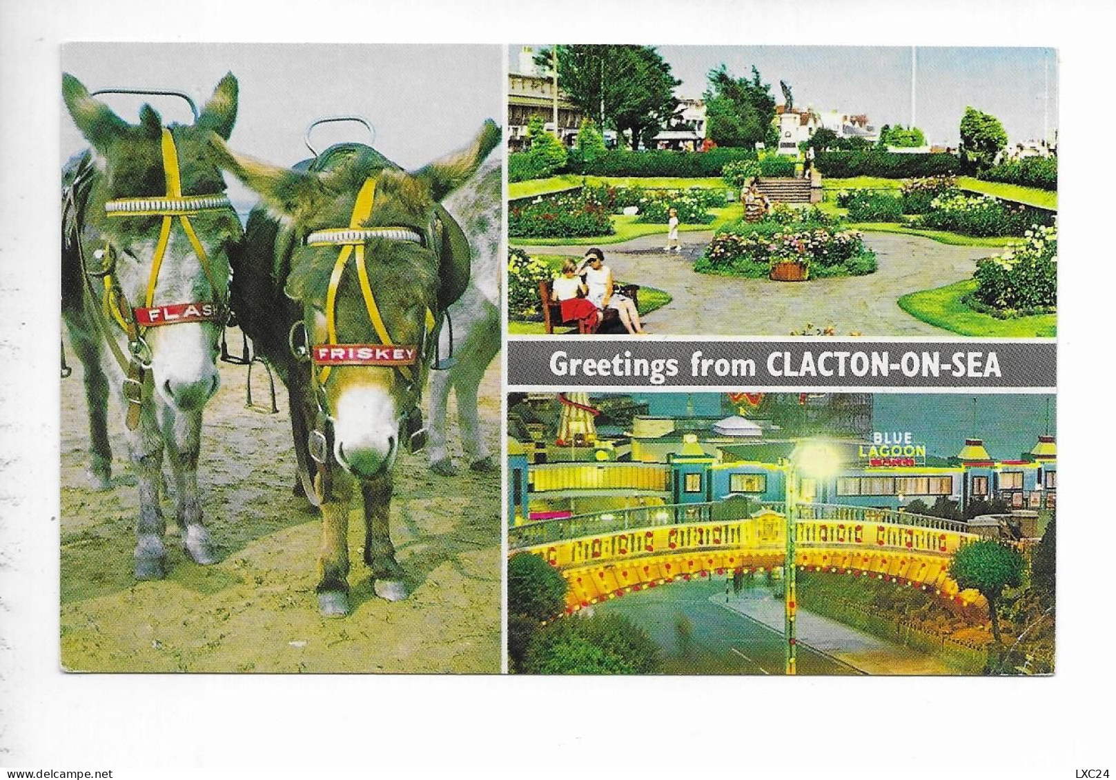 GREETINGS FROM CLACTON ON SEA. - Clacton On Sea