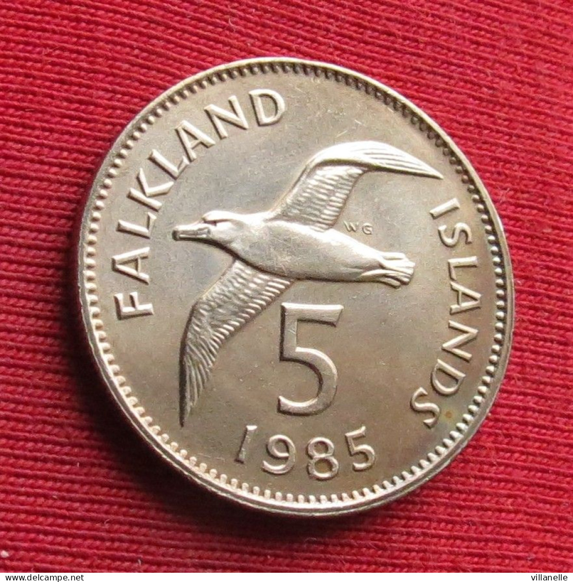 Falkland Islands 5 Pence 1985  UNC ºº - Falklandinseln