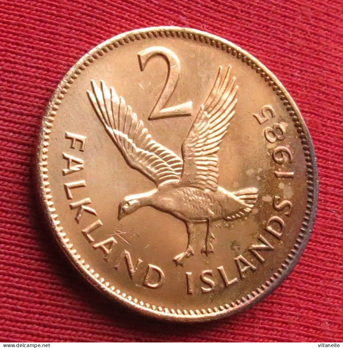 Falkland Islands 2 Pence 1985  UNC ºº - Falklandinseln