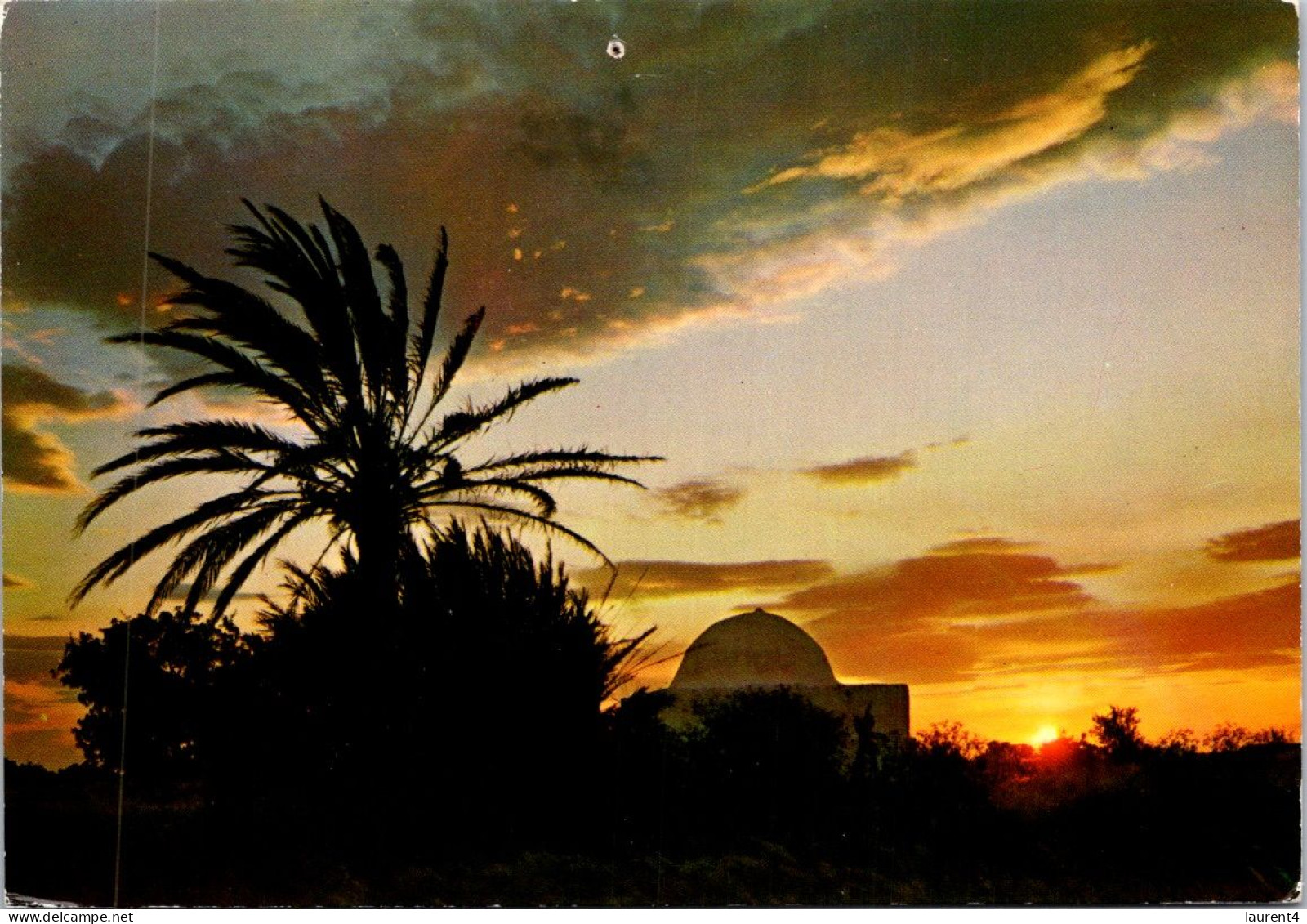 12-1-2024 (1 X 1)Tunisia - Mosque In Sunset - Judaisme