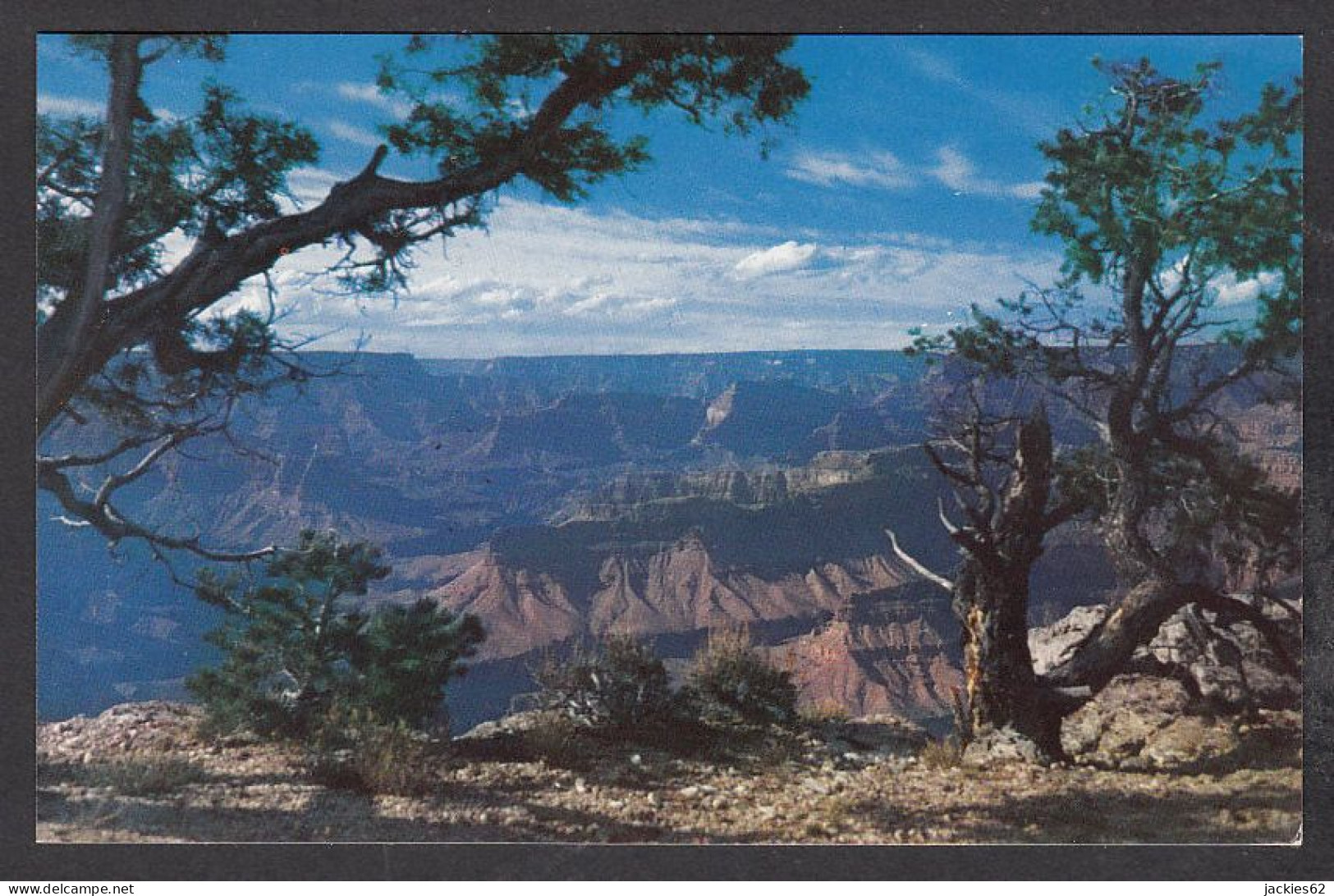 114915/ GRAND CANYON, Grand Canyon National Park  - Grand Canyon