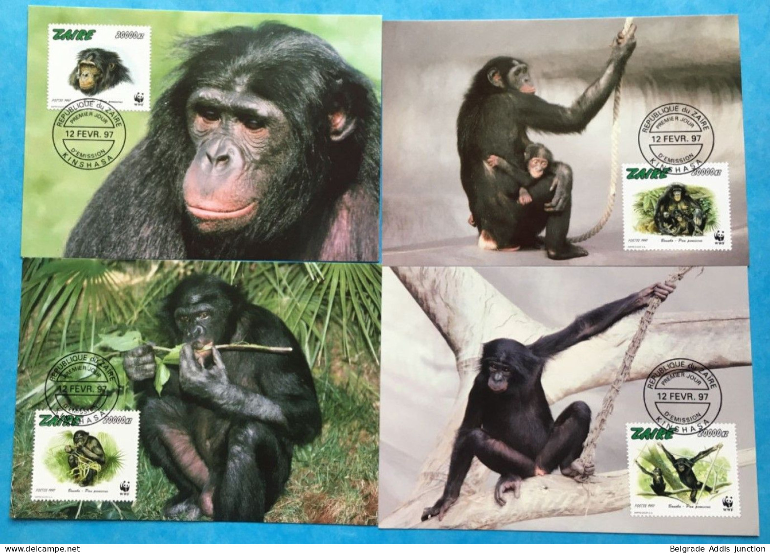 Congo Kinshasa RDC Zaire COB 1694/97 Série Complète Sur Cartes Maximum 1997 WWF Singes Bonobos - Briefe U. Dokumente