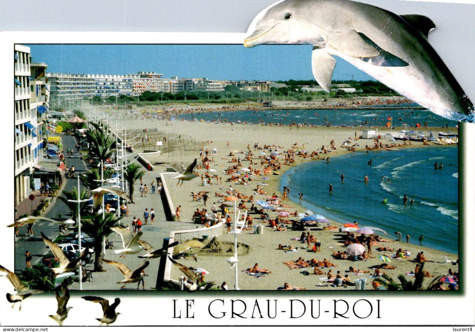 12-1-2024 (1 X 5) France - Dauohin - Le Grau Du Roi (shape Card) - Dolphins