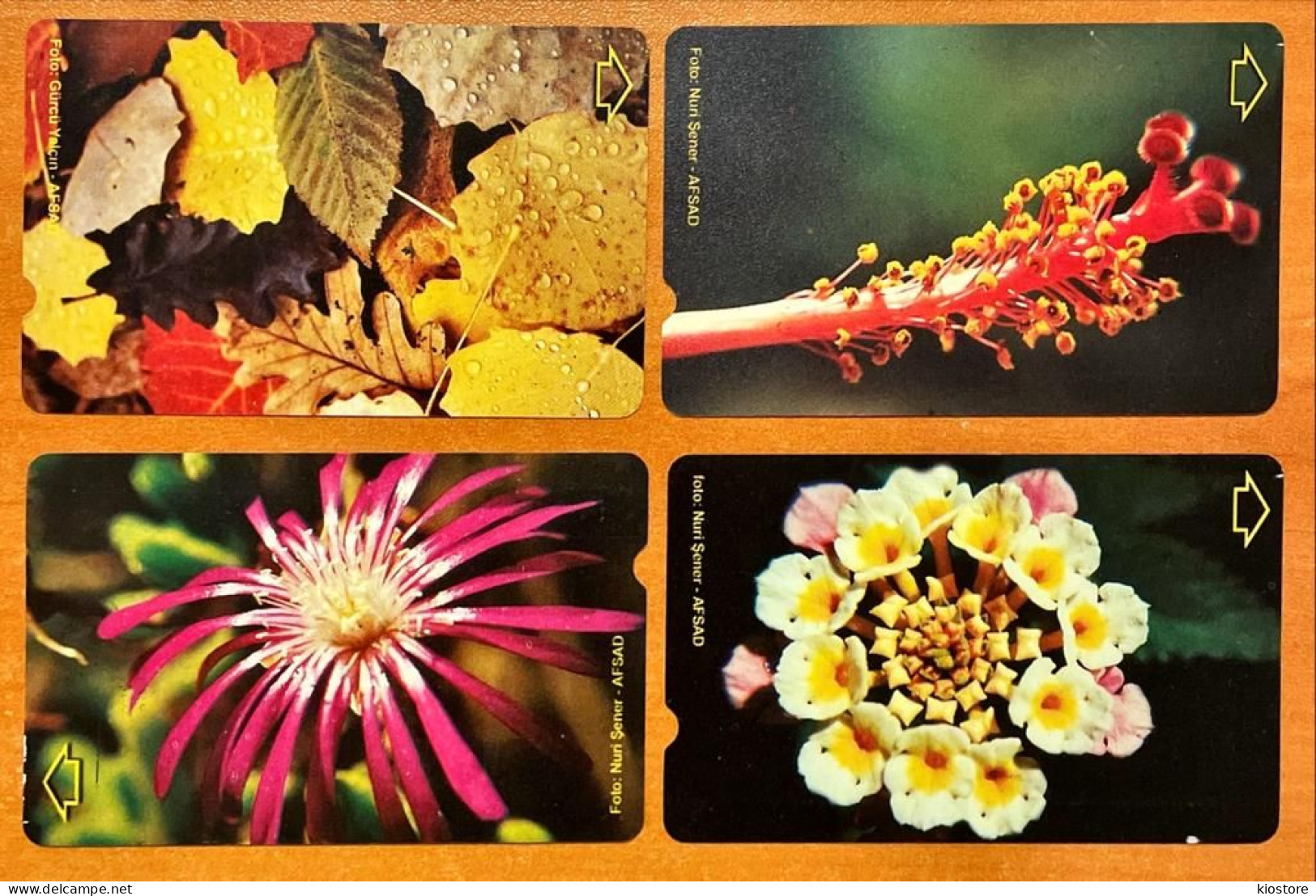 4 Different Phonecards - Flowers / Nature Theme - Fleurs