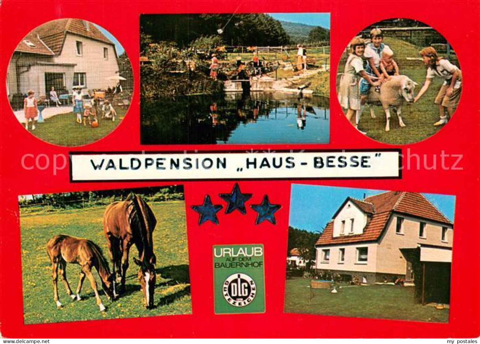 73763043 Scherfede Waldpension Haus Besse Schafe Pferde Urlaub Auf Dem Bauernhof - Warburg