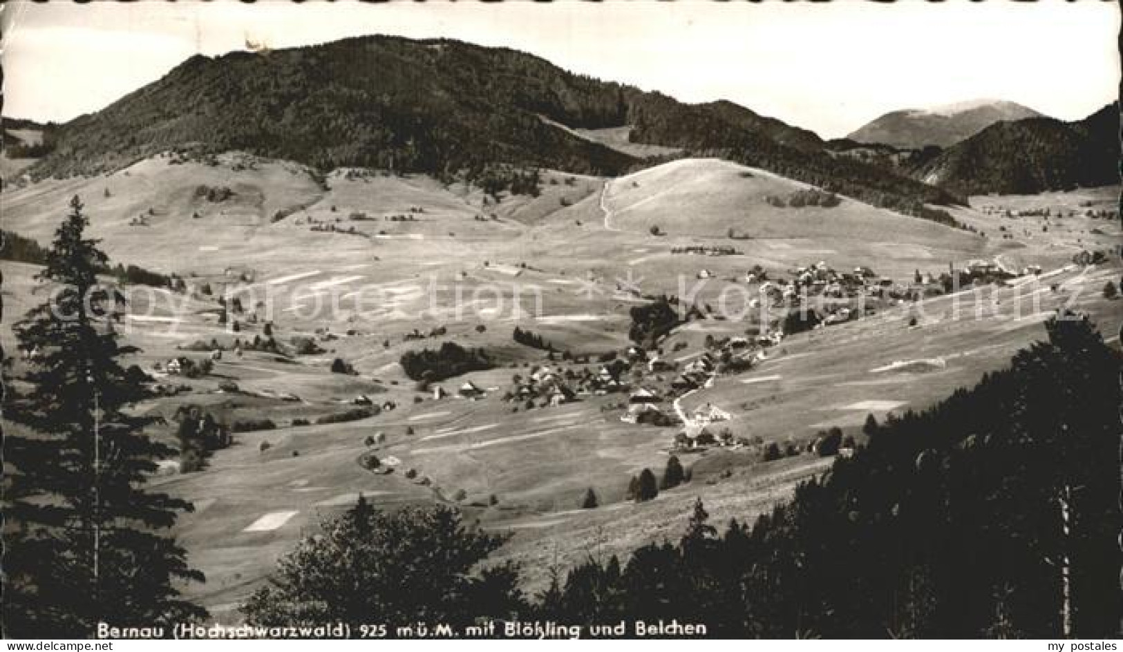 72312757 Bernau Schwarzwald Bohling Und Belchen Bernau - Bernau