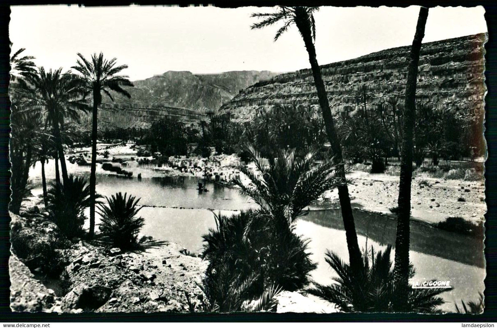 A66  MAROC CPA KSAR ES SOUK - PALMIERS DANS LA VALLÉE DU ZIZ - Collections & Lots