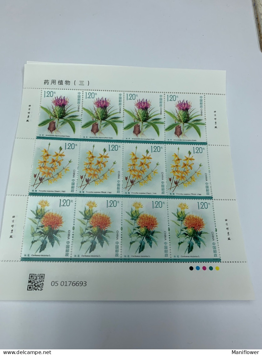 China Stamp MNH Sheet 2023 Medical Plants Whole Sheets - Posta Aerea