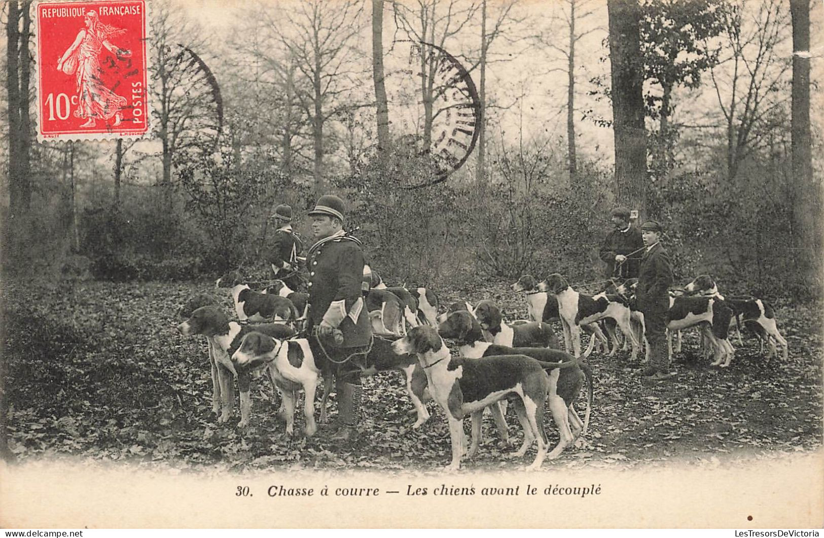 ANIMAUX - Chasse à Courre - Les Chiens Avant Le Découplé - Carte Postale Ancienne - Hunde