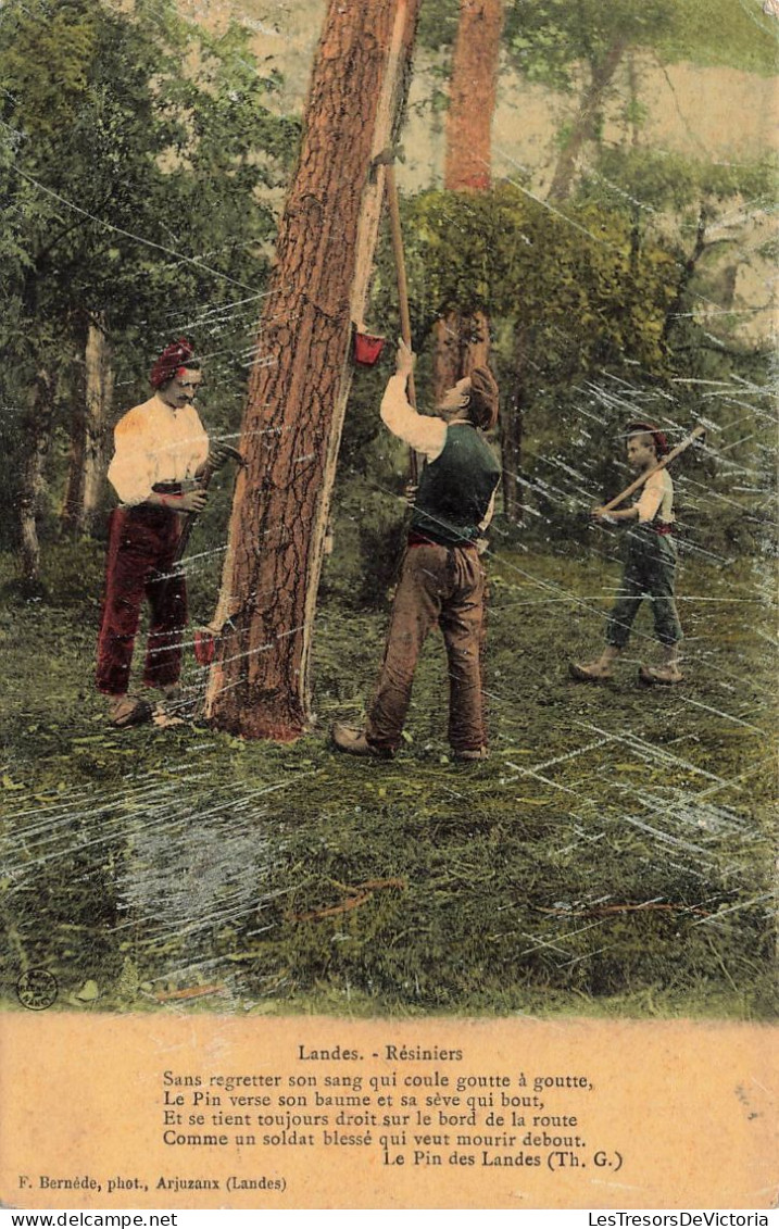 FRANCE - Landes - Résiniers - Colorisé - Animé - Carte Postale Ancienne - Altri & Non Classificati