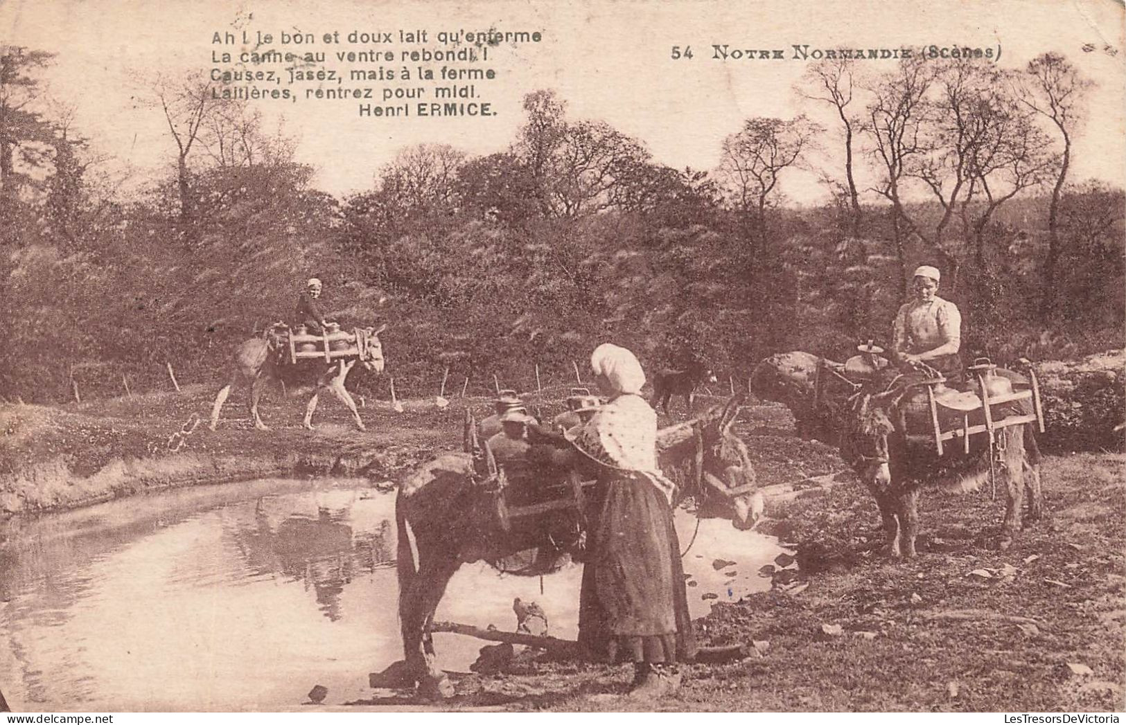 FRANCE - Normandie - Des Femmes Emmenant Les ânes à L'abreuvoir  - Carte Postale Ancienne - Basse-Normandie