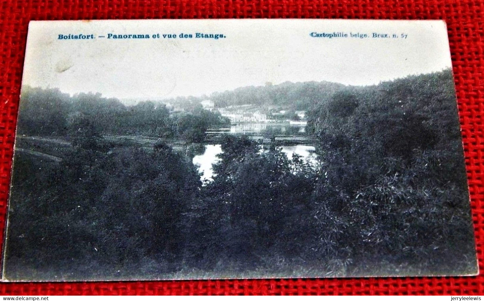 BOITSFORT  -  Panorama Et Vue Des étangs  -  1908 - Watermaal-Bosvoorde - Watermael-Boitsfort