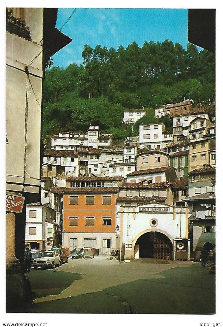 LA RULA / MARCHE DU VENTE ENCHERE DU POISSON / FISH SET UP MARKET.- CUDILLERO / ASTURIAS .- ( ESPAÑA) - Asturias (Oviedo)