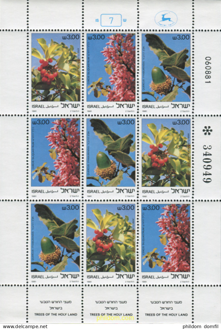 129237 MNH ISRAEL 1981 FLORES - Unused Stamps (without Tabs)