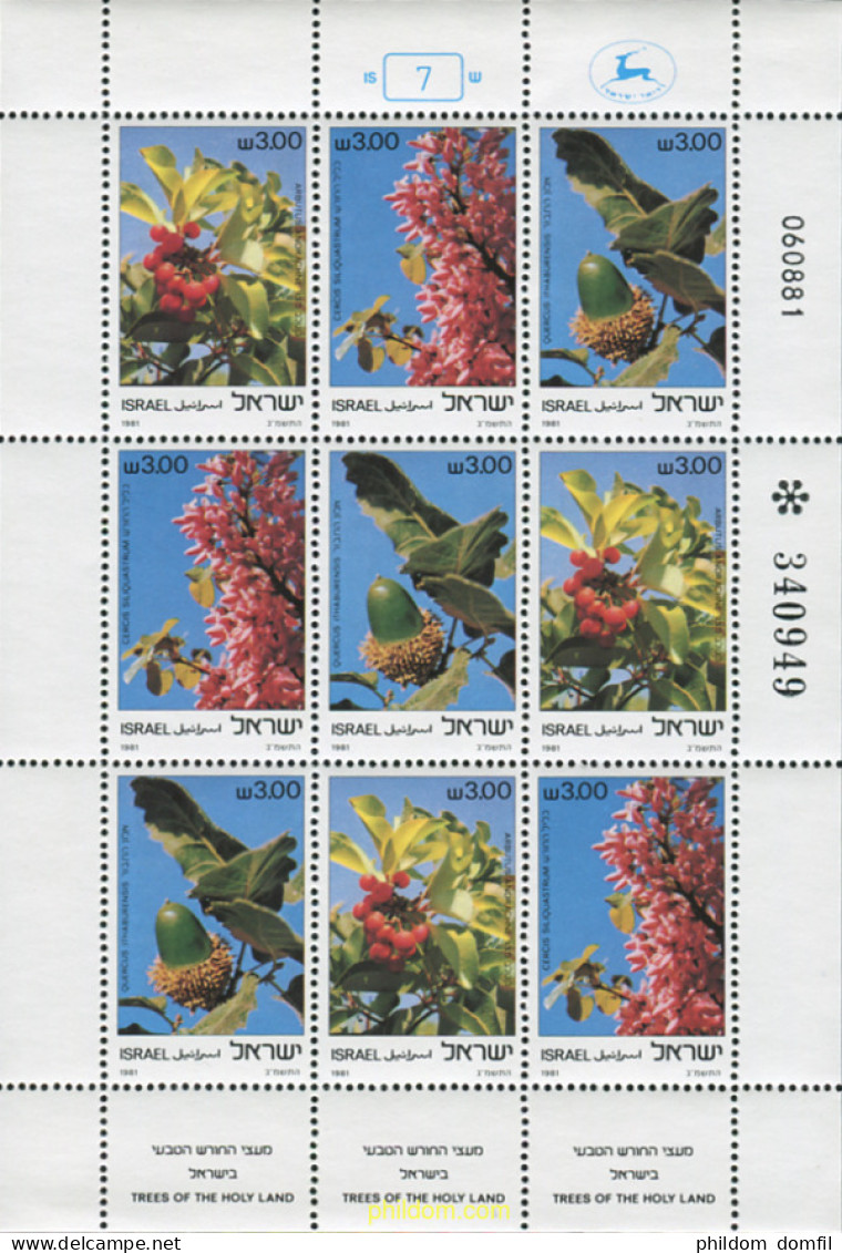 129237 MNH ISRAEL 1981 FLORES - Nuevos (sin Tab)