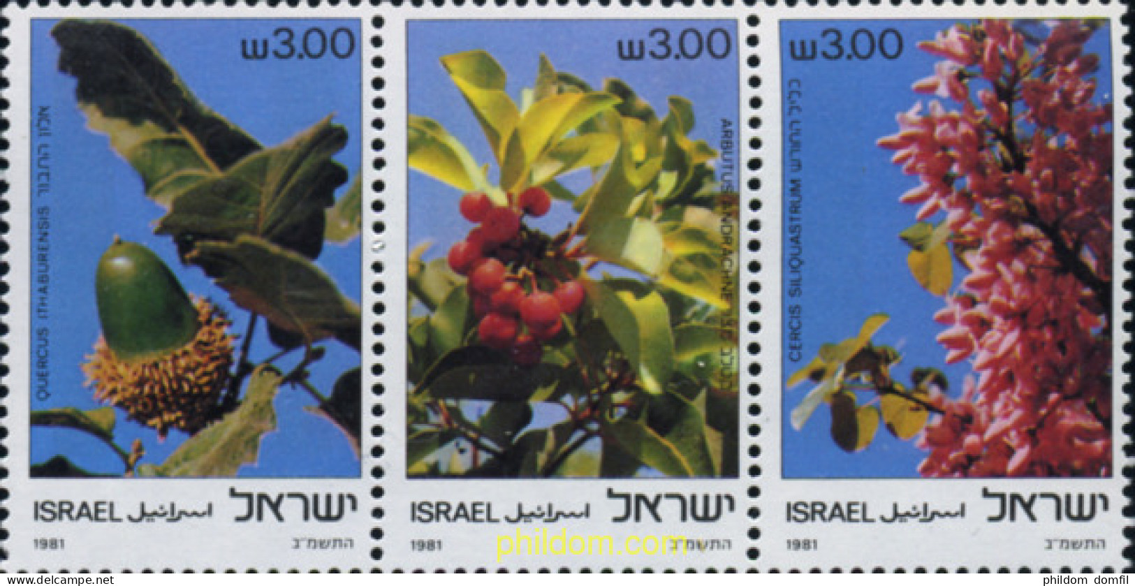 158275 MNH ISRAEL 1981 FLORES - Nuovi (senza Tab)