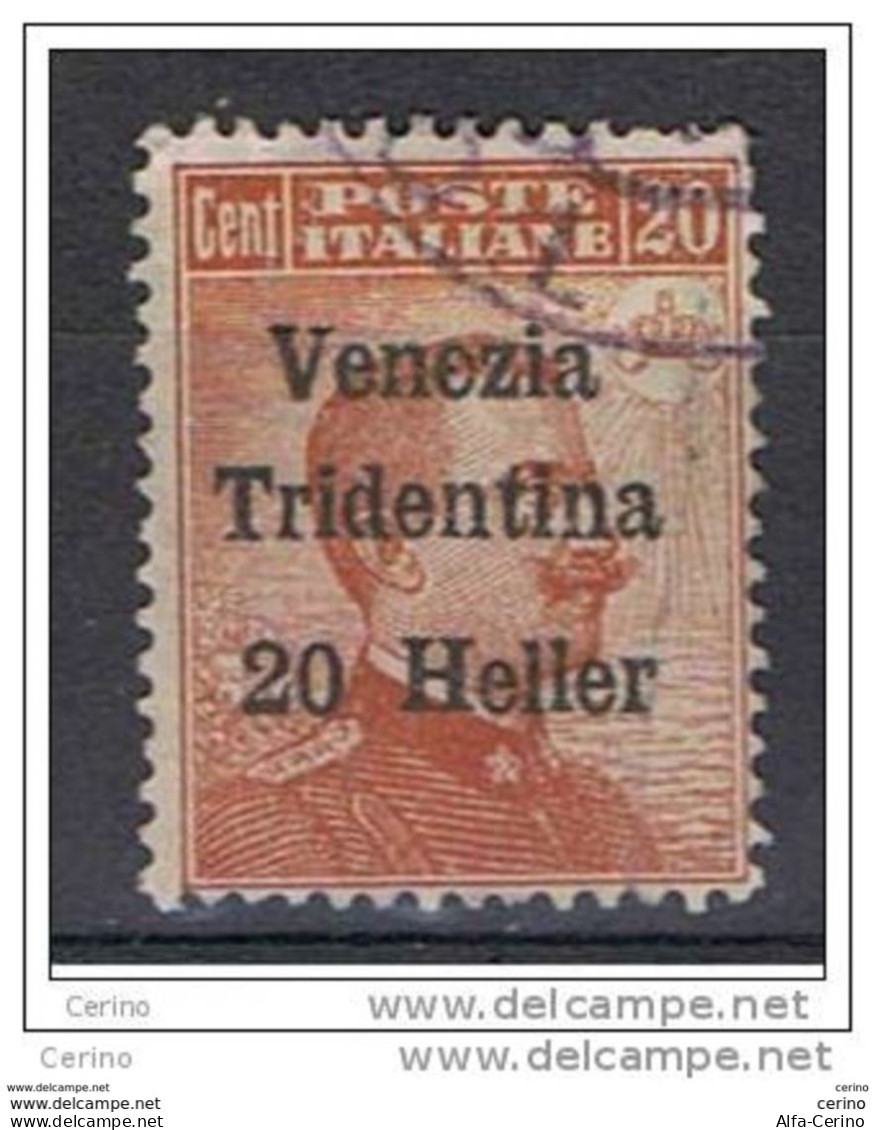 TRENTINO:  1918  SOPRASTAMPATO  -  20 H./20 C. ARANCIO  US. -  SASS. 30 - Trentino