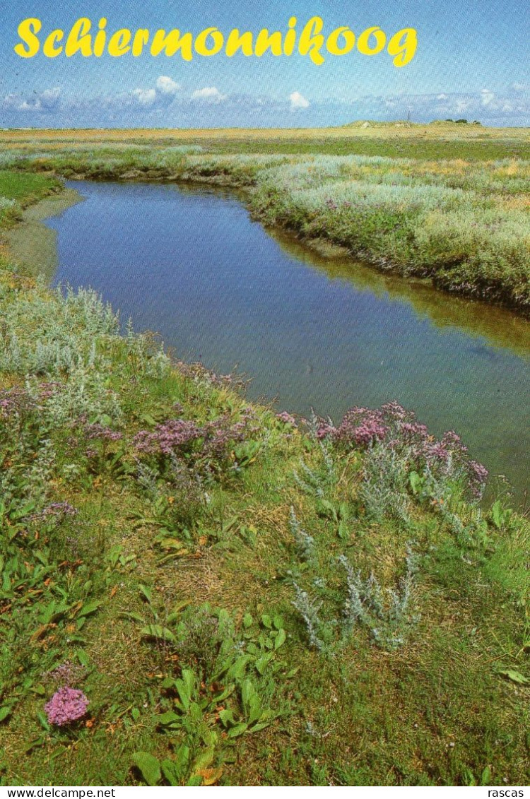 CPM - K - HOLLANDE - PAYS BAS - NEDERLAND - FRIESLAND - FRISE - SCHIERMONNIKOOG - Schiermonnikoog