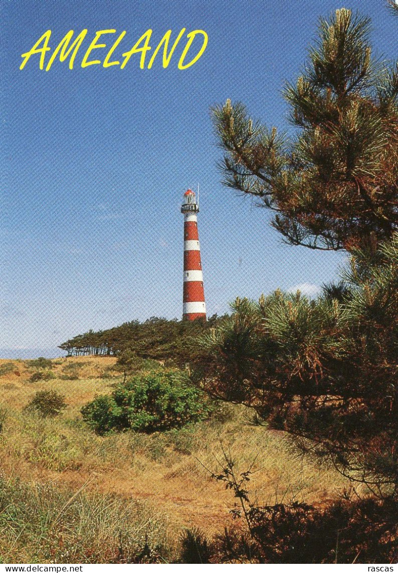 CPM - K - HOLLANDE - PAYS BAS - NEDERLAND - FRIESLAND - FRISE - AMELAND - GEZICHT OP DE VUURTOREN - PHARE - Ameland