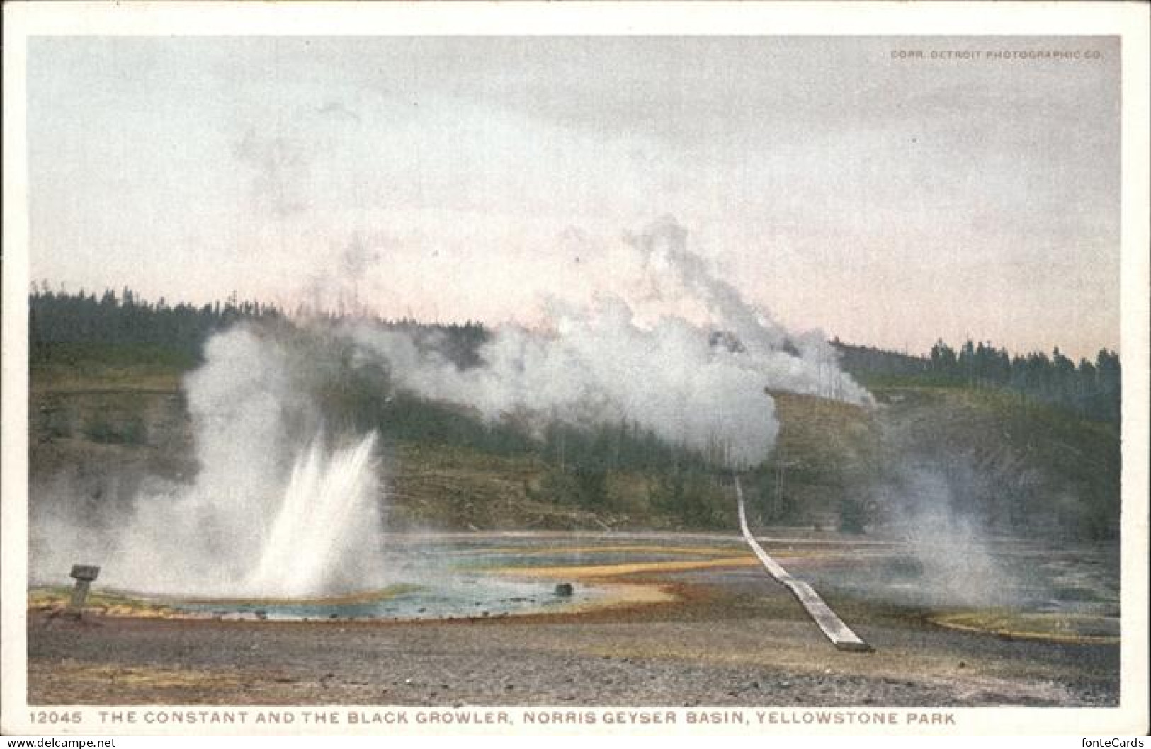 11491565 Yellowstone_National_Park Constant And Black Growler Norris Geyser Basi - Andere & Zonder Classificatie