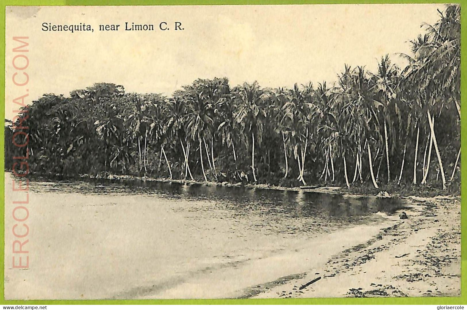 12726 - COSTA RICA - Vintage Postcard  - Sienequita, Near Limon C.R. - Costa Rica