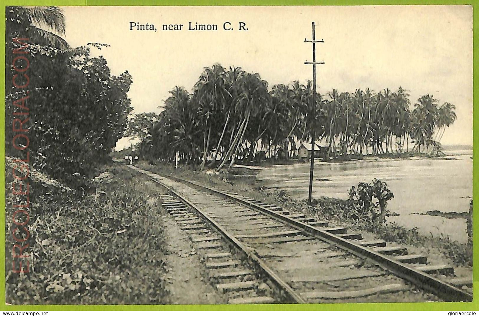 12730 - COSTA RICA - Vintage Postcard  - Pinta, Near Limon C.R. - Costa Rica