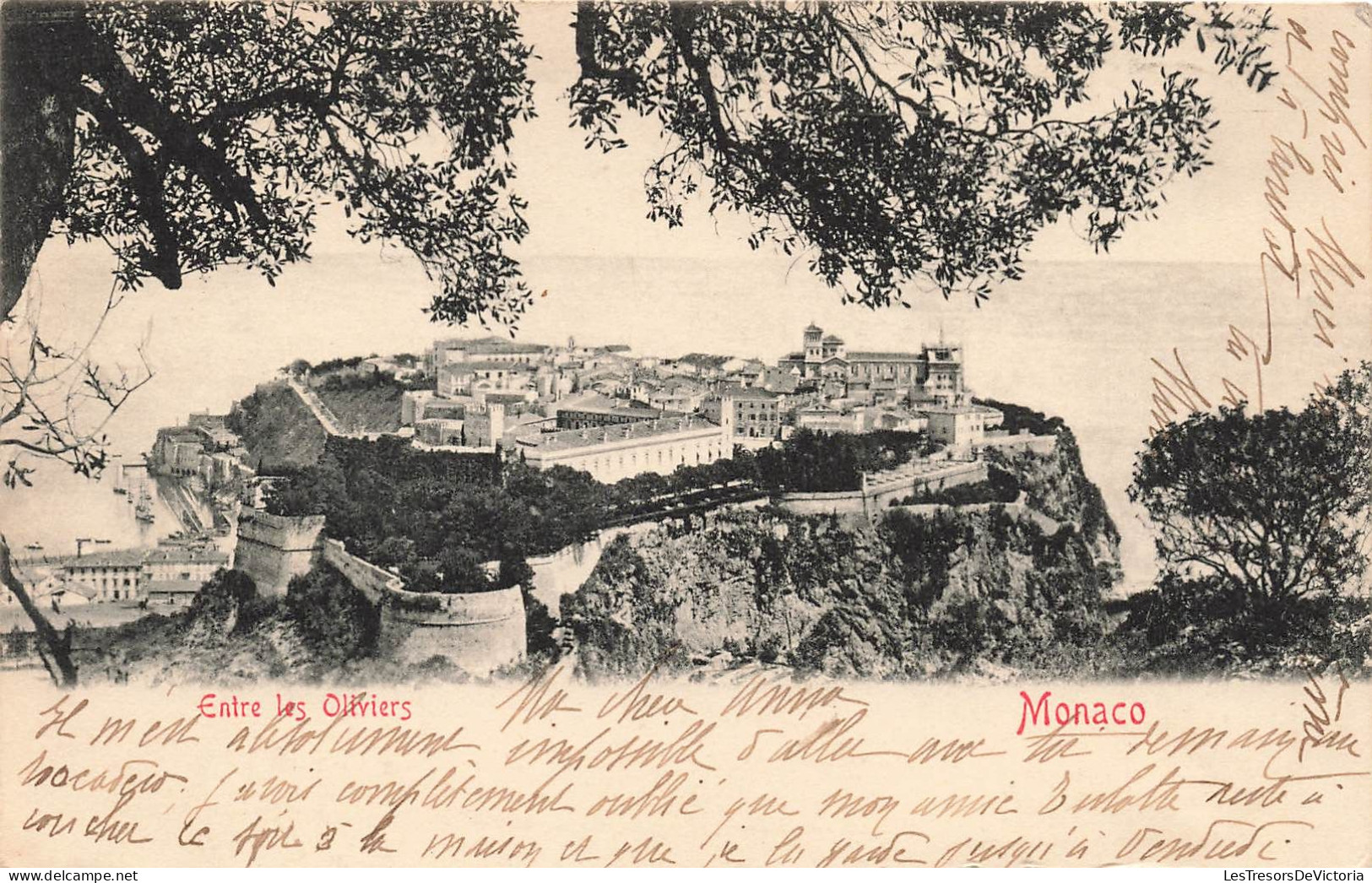 MONACO - Entre Les Oliviers - Carte Postale Ancienne - Other & Unclassified