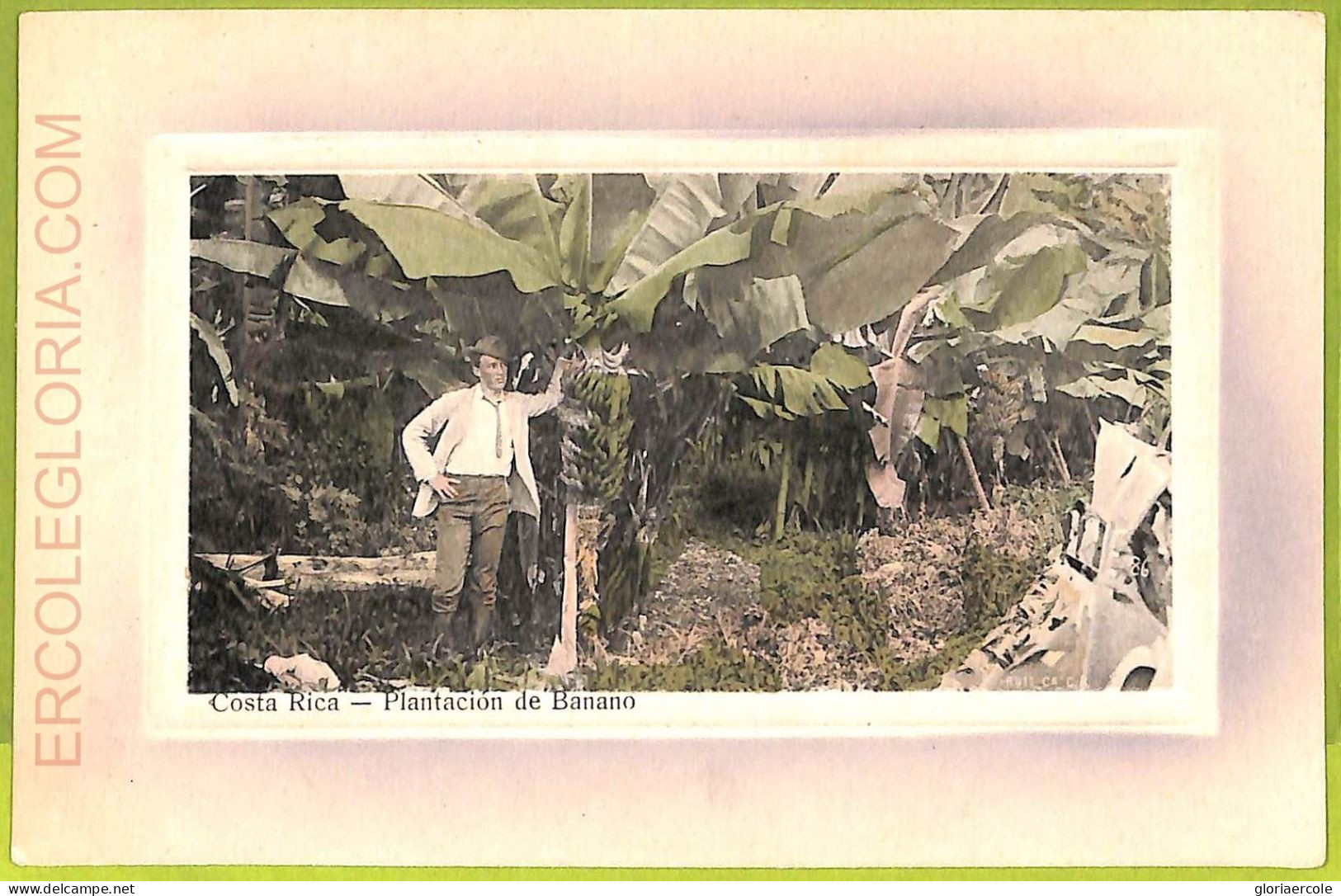 Aa6062 - COSTA RICA - Vintage Postcard  - Plantacion De Banano - Costa Rica